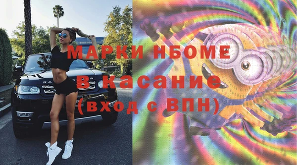 шишки Алексин