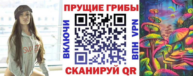 shop формула  Бодайбо  Псилоцибиновые грибы мицелий 